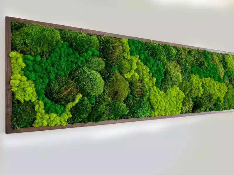 moss art frame