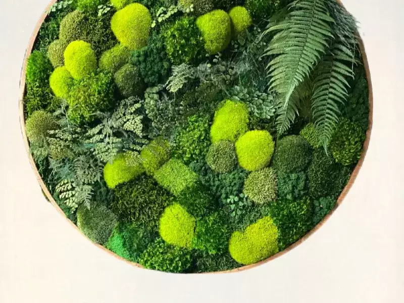 FOREST Citron & Esmeralda Round moss art
