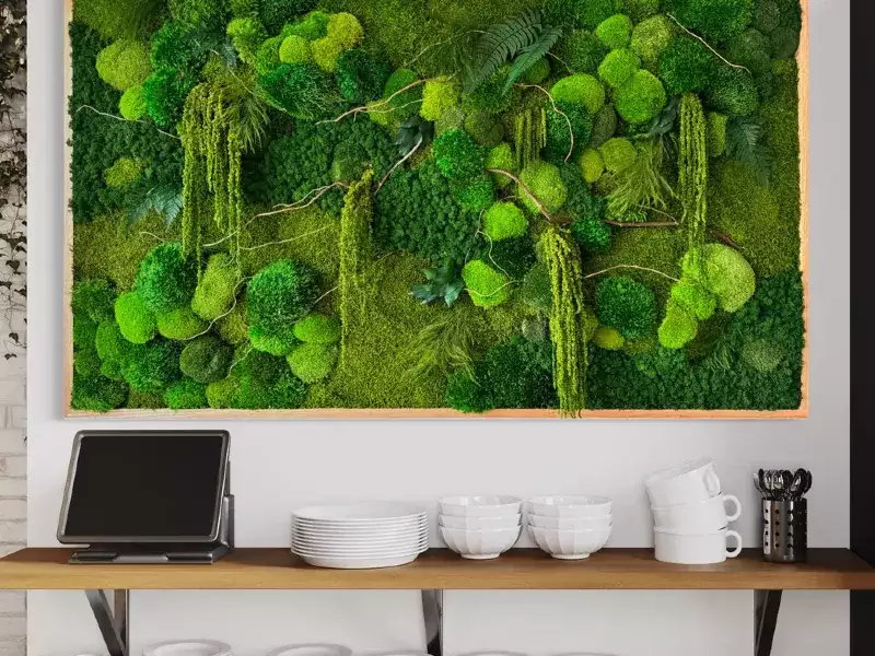 TUMACAU MOSS WALL ART