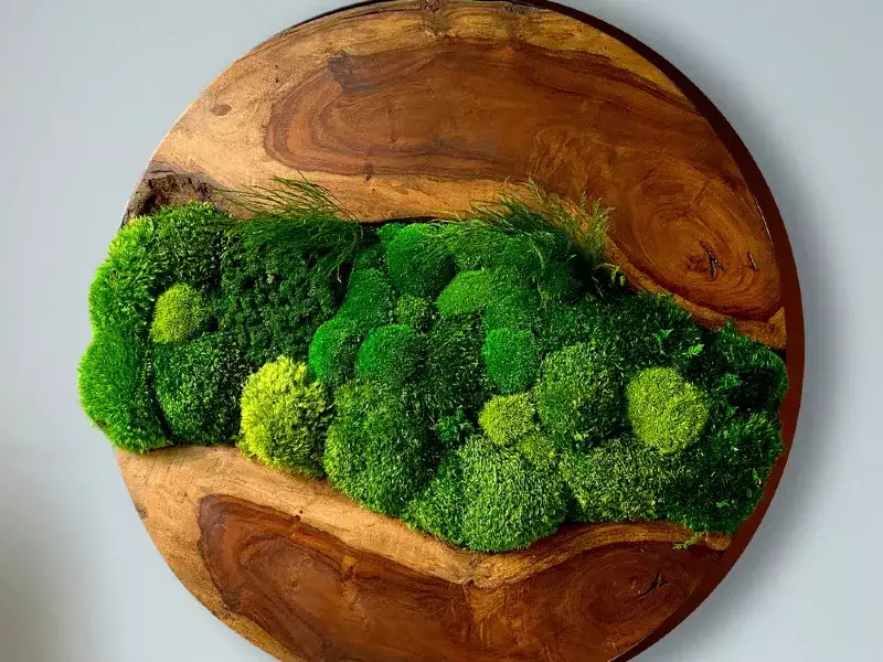 Round Live Edge Moss art