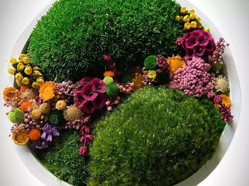 Cascade of Flowers Circle